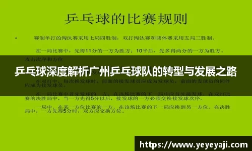 乒乓球深度解析广州乒乓球队的转型与发展之路